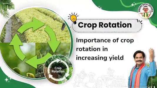 Importance of crop rotation in increasing yield