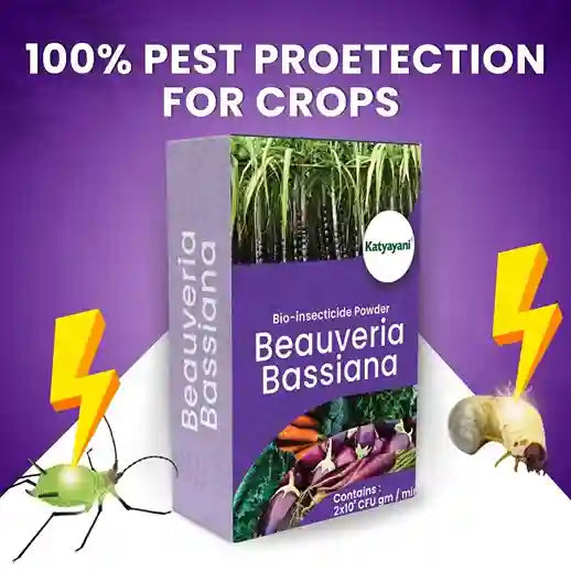 Katyayani Beauveria Bassiana Bio Insecticide Powder