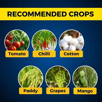 Target Crops of Imida Insecticide