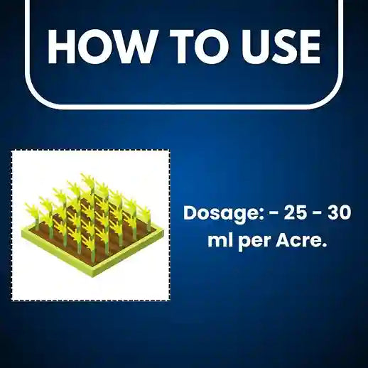 Dosage of Imida 30.5 insecticide