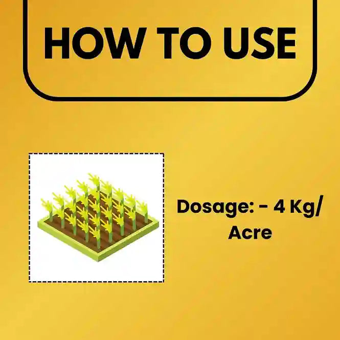 Dosage of Chloropyriphos 10% GR