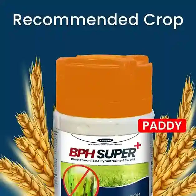 Katyayani BPH Super + | Dinotefuran 15% + Pymetrozine 45% WG | Chemical Insecticide | best for paddy crop