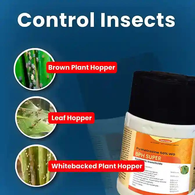 Katyayani BPH Super | Pymetrozine 50 % WG | best Chemical Insecticide for  leaf, brown plant hopper