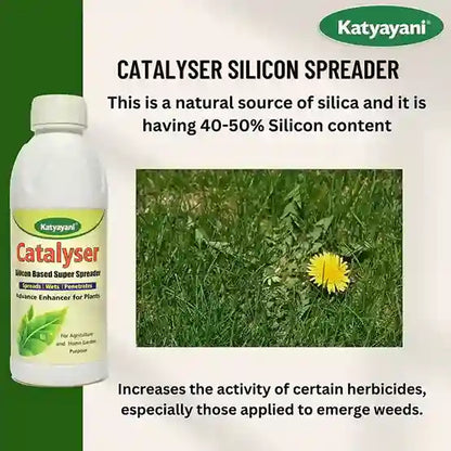 Katyayani Catalyser Silicon Super Spreader | Krishi seva kendra