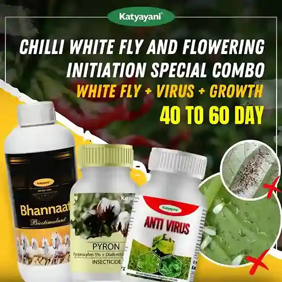 Katyayani Chilli White Fly and Flowering Initiation Special Combo | 40-60 Days