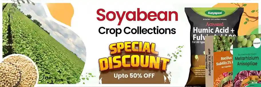 Soybean crop collection