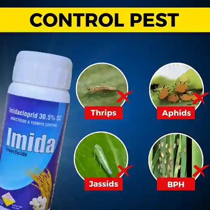 Target pest of Imida 30.5 insecticide