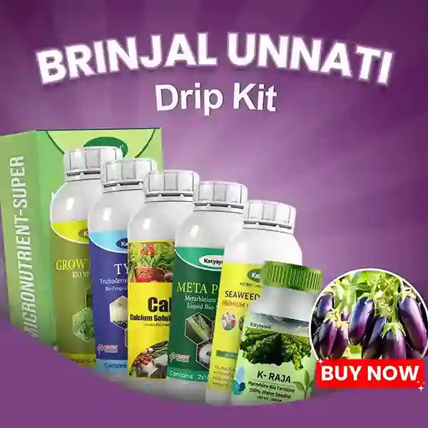 Katyayani Brinjal Unnati Drip Kit