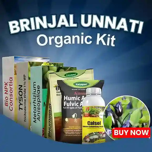 Katyayani Brinjal Unnati Organic Kit