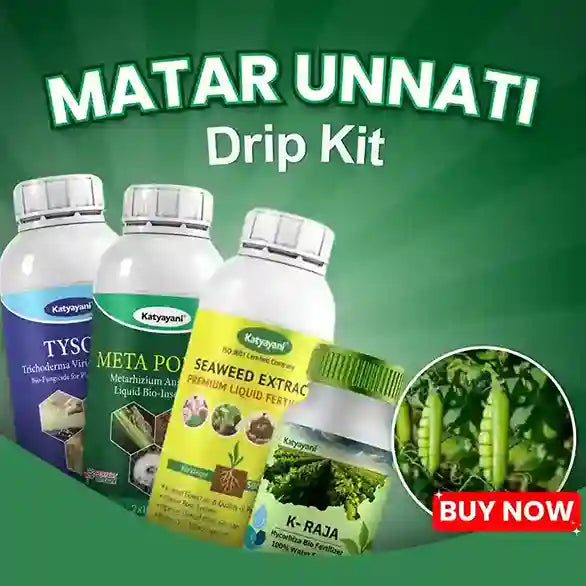 Katyayani Matar Unnati Drip Kit