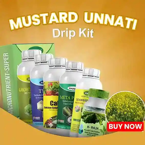 Katyayani Mustard Unnati Drip Kit