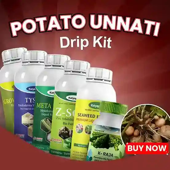 Katyayani Potato Unnati Drip Kit