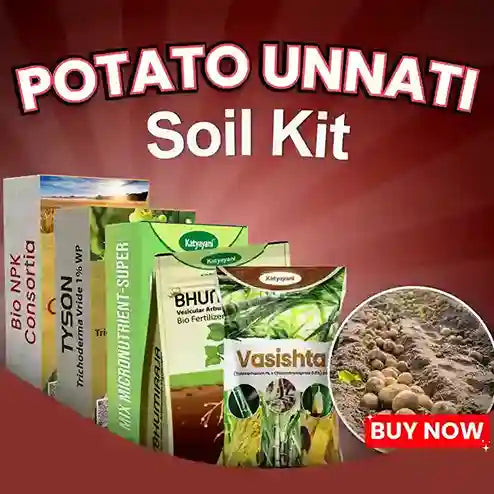 Katyayani Potato Unnati Soil Kit