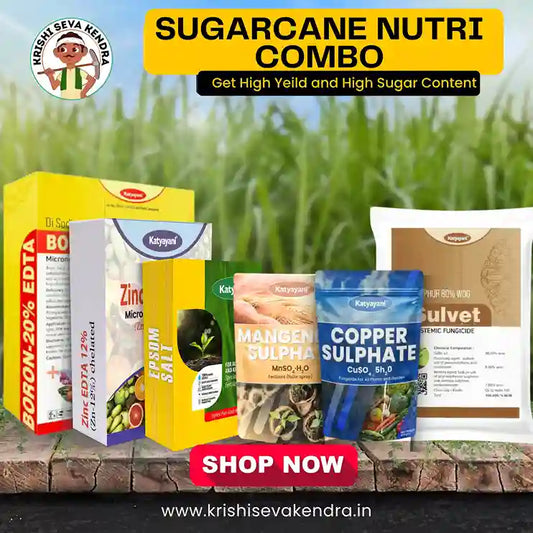 Buy Sugarcane Nutri Kit: Complete Nutrient Package | Free Delivery 