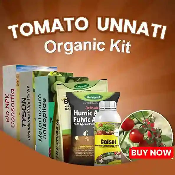 Katyayani Tomato Unnati Organic Kit