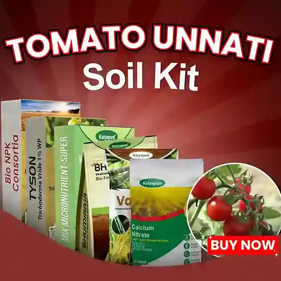 Katyayani Tomato Unnati Soil Kit