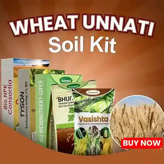 Katyayani Wheat Unnati Soil Kit