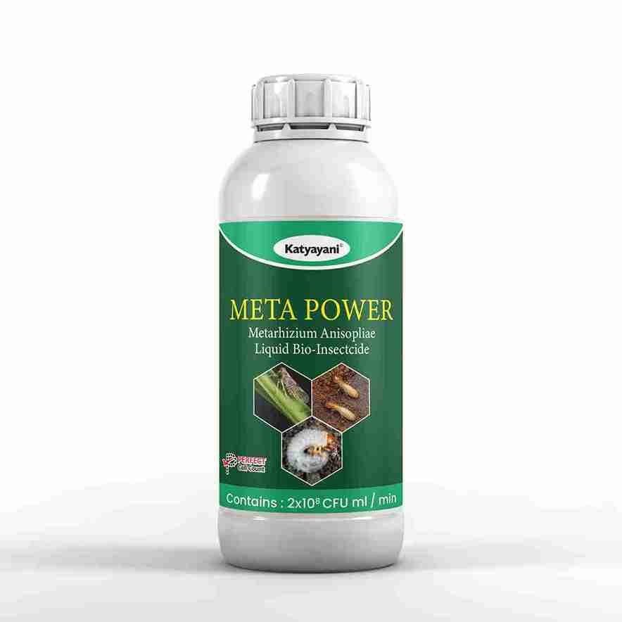 Katyayani Meta Power | Metarhizium Anisopliae | Liquid Bio Insecticide