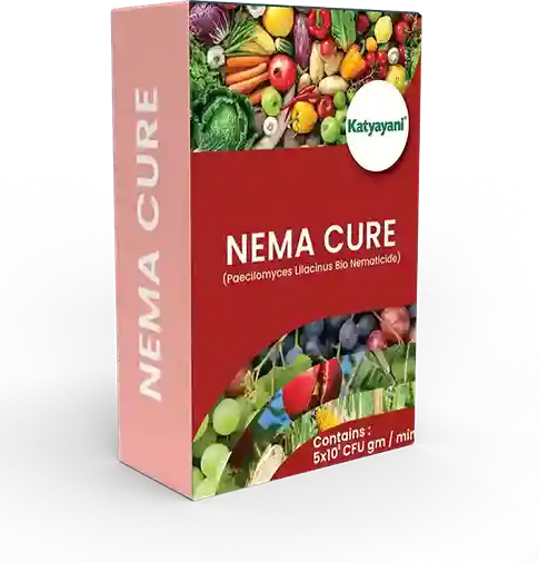 Katyayani Nema Cure | Paecilomyces Lilacinus Powder Bio Nematicide