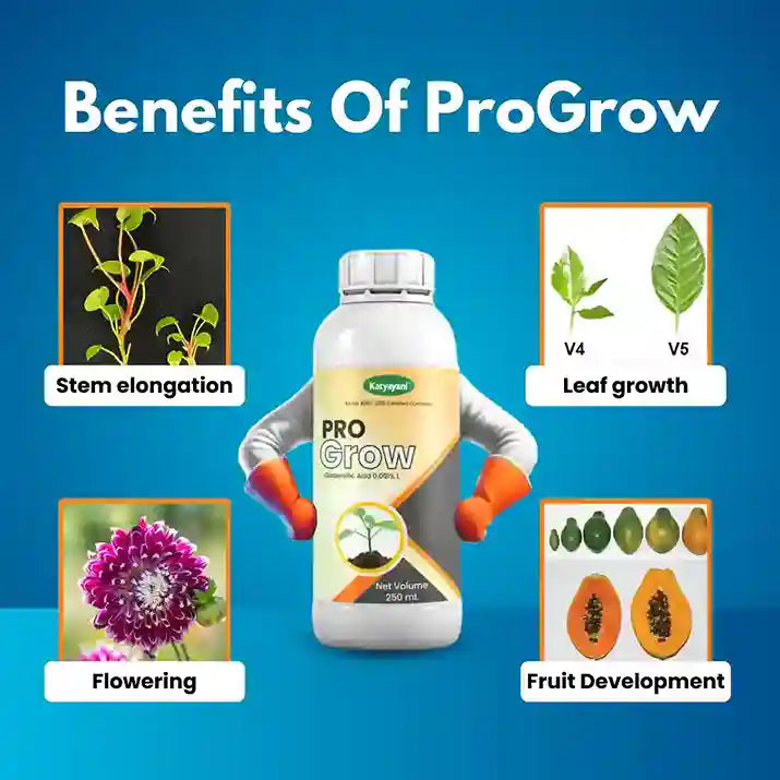 KATYAYANI  PRO GROW (GIBBERELLIC ACID 0.001% L)  | PLANT GROWTH REGULATOR FOR LEAF GROWTH, FLOWERING