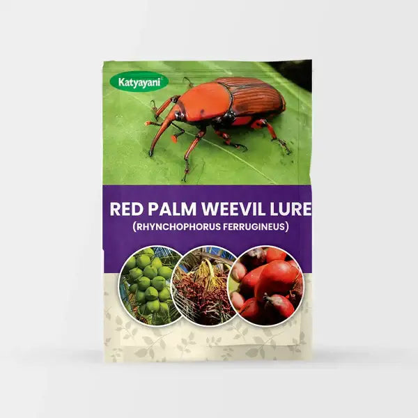 Katyayani Red Palm Weevil Lure (RHYNCHOPHORUS FERRUGINEUS)