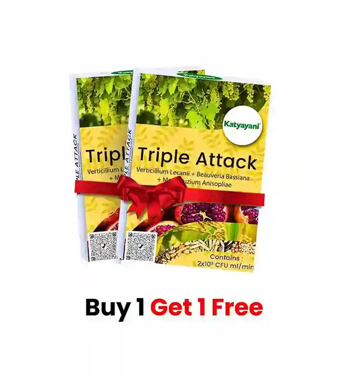 Katyayani Triple Attack | Bio Pesticide Powder (1+1 Free)