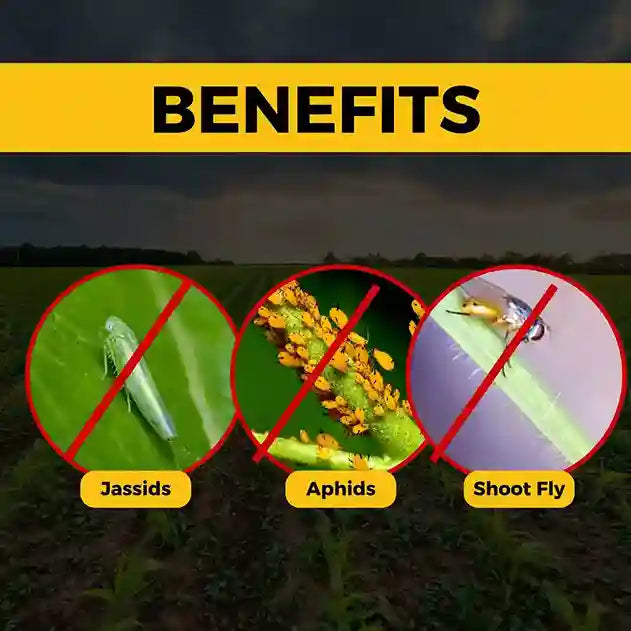 Katyayani Chakrawarti | Thiamethoxam 12.6% + Lambda Cyhalothrin 9.5% ZC |  Chemical Insecticide for aphids, jassids 