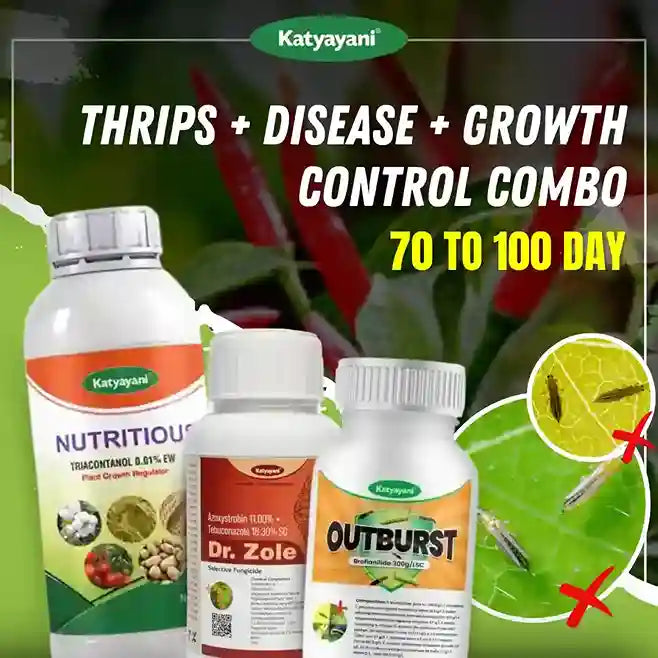 Katyayani Thrips + Disease + Growth Control Combo for Chilli | 70-100 Days