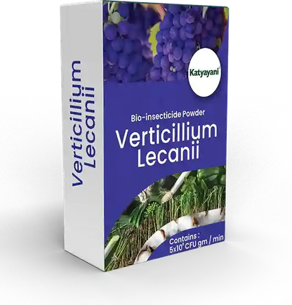 Katyayani Verticillium Lecanii | Powder Bio Insecticide