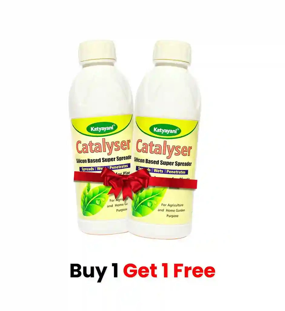 Katyayani Catalyser Silicon Super Spreader (1+1 Free)