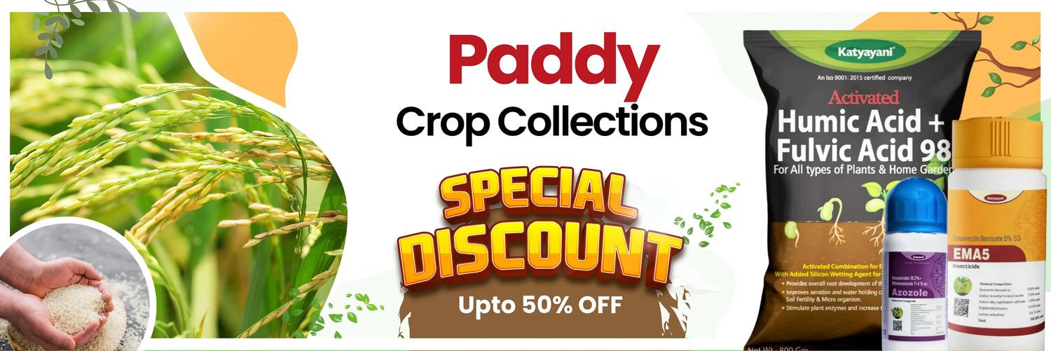 Paddy crop collection 