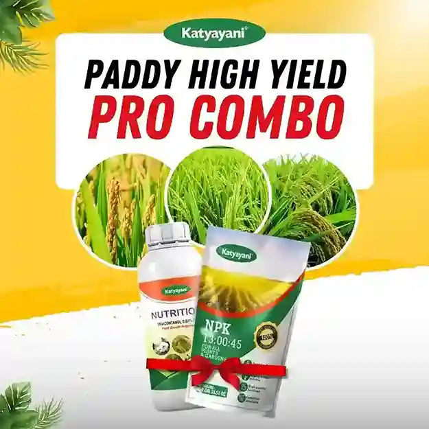 Katyayani Paddy High yield PRO Combo (Nutritious 200ML + NPK 13 00 45 1KG)