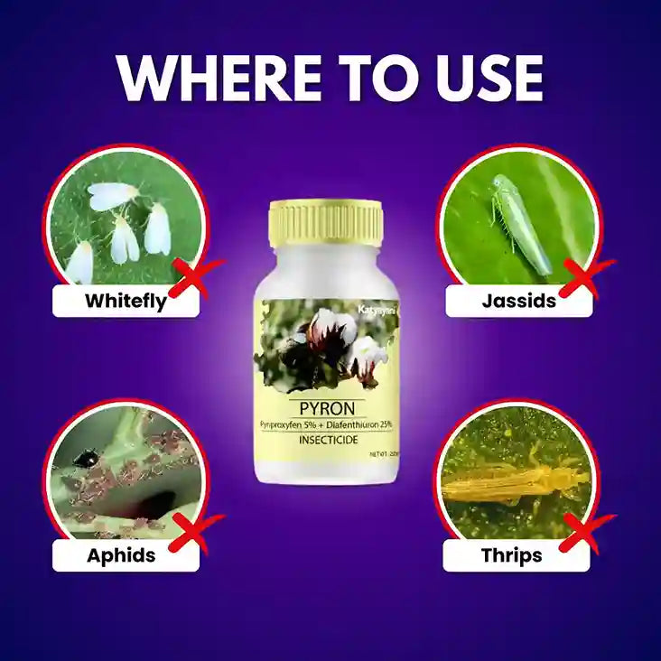 Katyayani PYRON (Pyriproxyfen 5% + Diafenthiuron 25% se) - Insecticide for whitefly, aphids, jassids