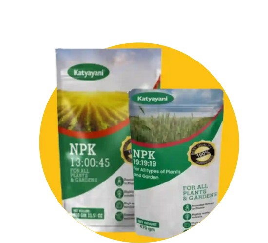 top NPK fertilizer for plant growth and development